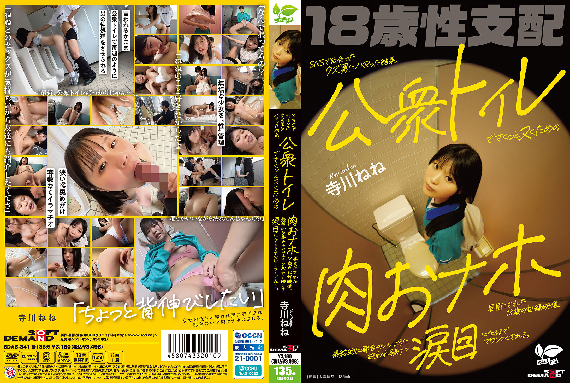 SDAB-341 SNSで出会ったクズ男にハマった結果、公衆トイレでさくっとヌくための肉おナホ要員にされた18歳